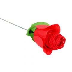 Panty Rose - stringas rožėje - raudona (S-L)