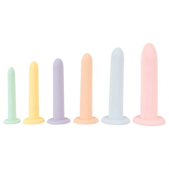 Šeši iš eilės - dildo treniruoklių rinkinys - 6 vnt. (spalvoti)