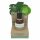 Coconutoil - Bio aliejus po depiliacijos ir skutimosi (50 ml)